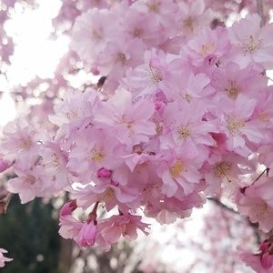 Meet your Posher, Regina